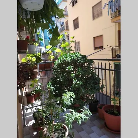 Verde Centrale