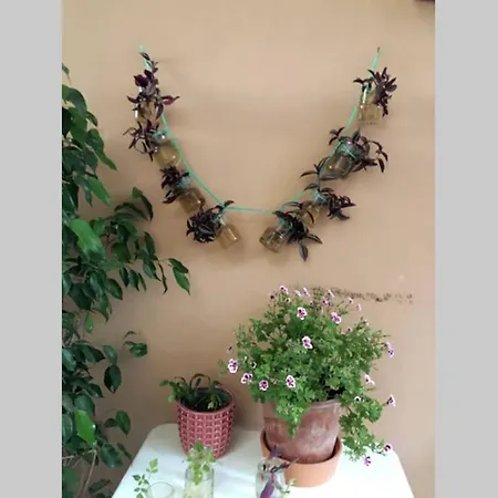 Apartment Verde Centrale