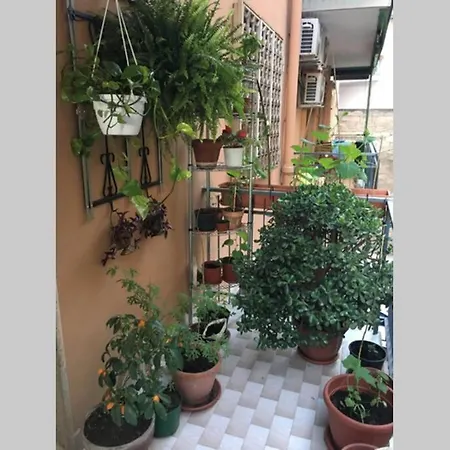 Verde Centrale Portici